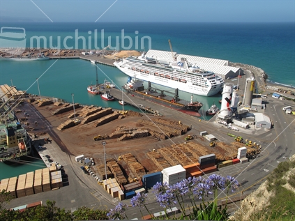 The Port of Napier with a number of vessels including the cruise ship Sea Princess, cement silos, and marshalled logs and other goods for export / import.   