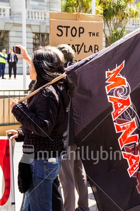 Protesters outside Parliament after a march to protest at the sale of state houses, 2012.