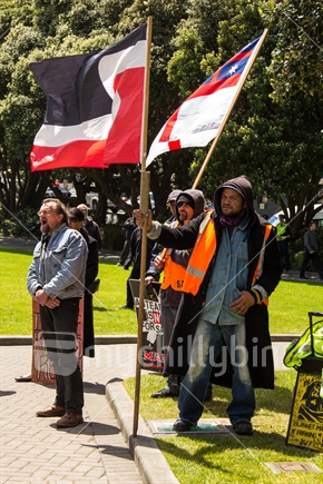 Protesters outside Parliament after a march to protest at the sale of state houses