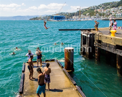 People jump into Wellington harbour on a summers day