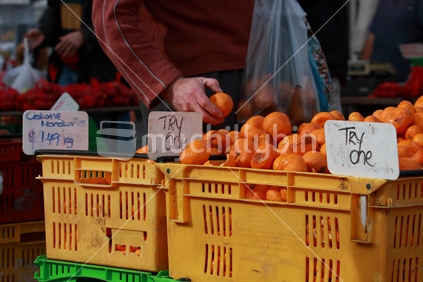 Mandarins for sale 
