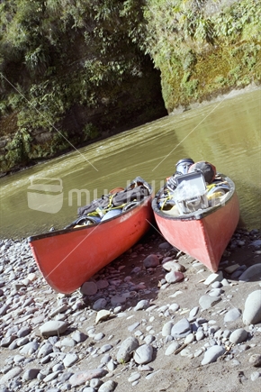 Whanganui River and surrounding native bush with Canadian Canoes, New Zealand