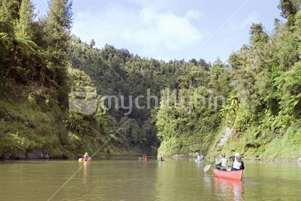 Tourists on the Whanganui River in Canadian Canoes, New Zealand