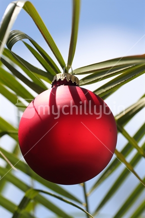 Xmas ball on a palm tree 