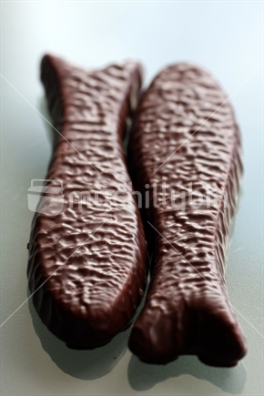 Chocolate fish closeup 