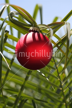 Xmas ball on a palm tree