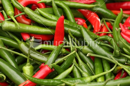 Chillies at a market 