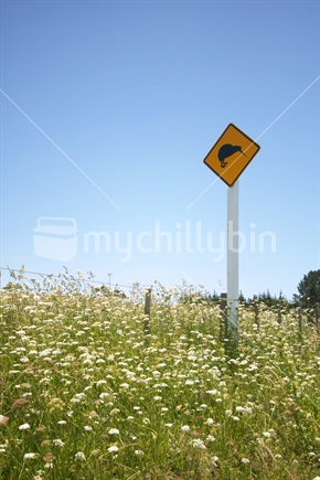 Kiwis Crossing Road Sign
