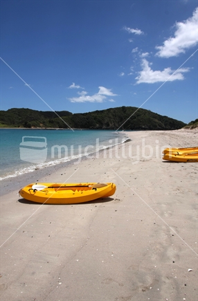 Beach in the Bay of Islands 
