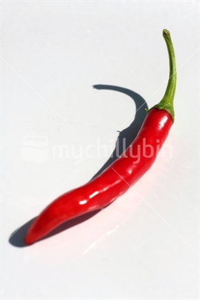 Red chili 