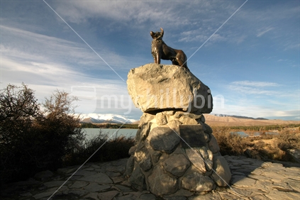 Sheep dog statue, Tekapo 