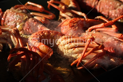 Fresh crayfish 
