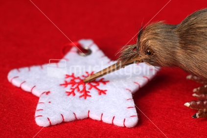 Christmas is coming - Kiwi and star
