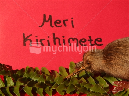 Christmas is coming - Meri Kirihimete
