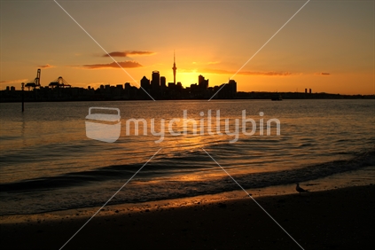 Auckland skyline at sunset from Devonport, North Island