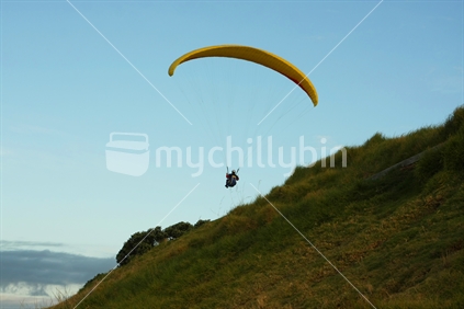 Paraglider at North Head, New Zealand