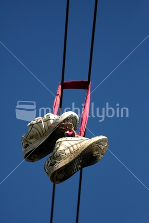 Boot hanging on a transmission line