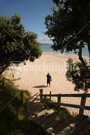 Hahei Beach, Coromandel, North Island, New Zealand