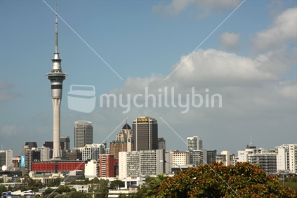Auckland CBD skyline from Ponsonby Road, New Zealand

