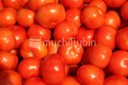 Organic tomatoes; New Zealand farmers market
