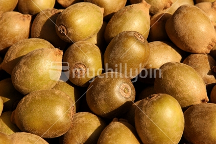 kiwifruit for sale
