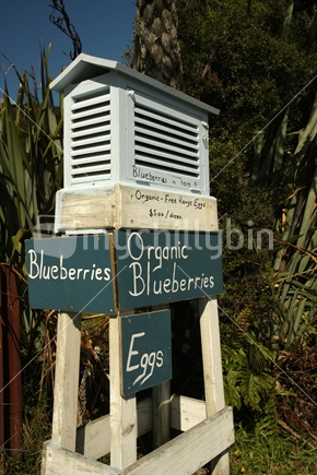 Roadside honesty box for organic blueberries, and eggs, Punakaiki, SOuth ISland, New Zealand. 
