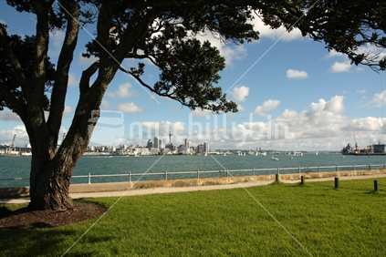 Auckland skyline from Devonport with Pohutukawa tree, North Island
