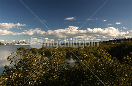Auckland skyline, seen from the Mangroves at Takapuna, North Shore; New Zealand. 