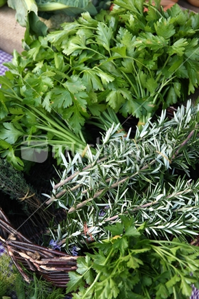 Organic thyme and Italian parsley on display at a farmers market in New Zealand.
