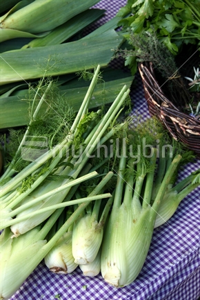 Organic fennel and leek on display at a Farmers' Market in New Zealand