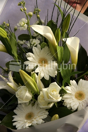 bouquet of white flowers
