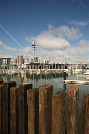 Auckland Skytower seen from Te Wero Island across Viaduct Habour
