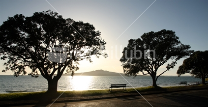 Narrow Neck beach on clear winter morning, North Shore, Auckland
