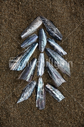 Christmas tree formed from paua shells on the beach.
