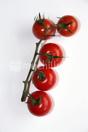 Closeup of New Zealand vine ripened and shipped tomatoes
