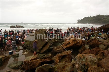 Crowded Hot Water Beach at low tide, Coromandel, New Zealand.
