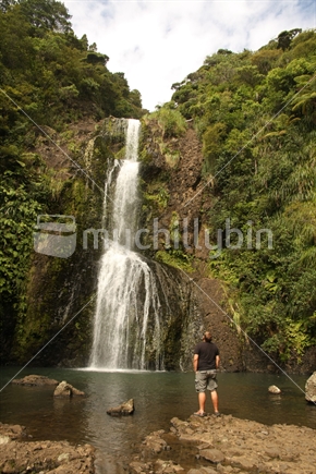 Man viewing the Kitekite Falls near Piha, Waitakeres, New Zealand.