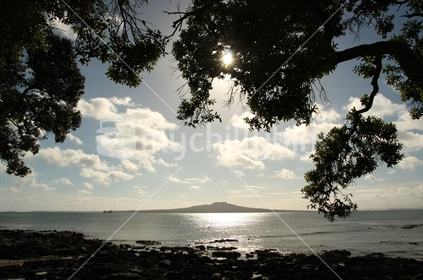 Takapuna beach with a view to Rangitoto Island, on a sunny morning with Pohutukawa trees as a silhouette.