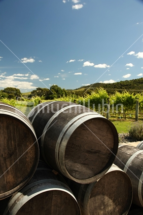 Barrels at a vineyard.
