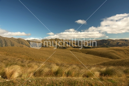High country scenery near Livingston, Canterbury - New Zealand.