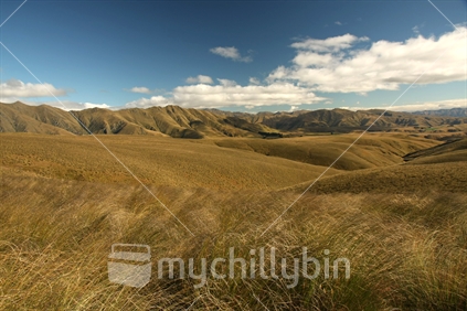 High country scenery near Livingston, Canterbury, New Zealand