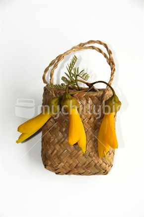 Kowhai flowers in a kete