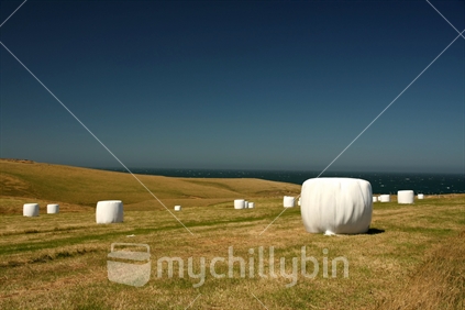 Hay bales at Slope Point, Catlins, Southland