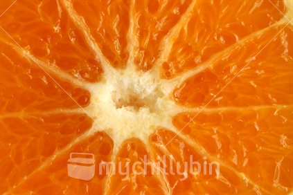 Closeup of a New Zealand grapefruit