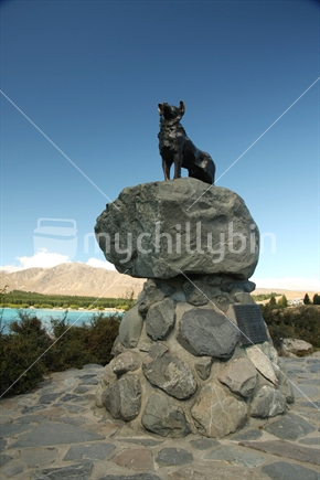 Sheep dog statue at Lake Tekapo, Canterbury, South Island