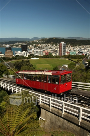 Wellington cable car seen from the top station at the botanic gardens