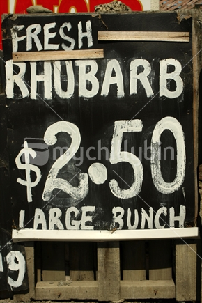 Fresh rhubarb on sale