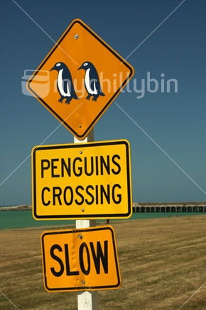Penguins crossing sign, Oamaru
