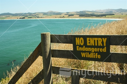 No entry - endangered wildlife, Otago