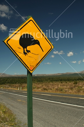 Kiwi road sign, with skis added, National Park, North Island